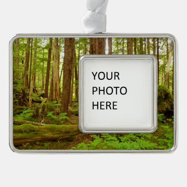 Alaskan Temperate Rainforest Silver Plated Framed Ornament (Front)