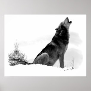Alaskan Timber Wolf Poster