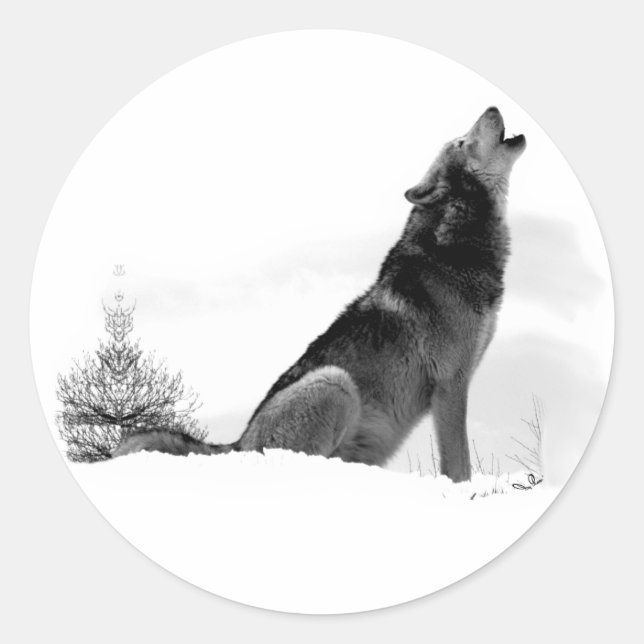 Alaskan Timber Wolf Sticker (Front)