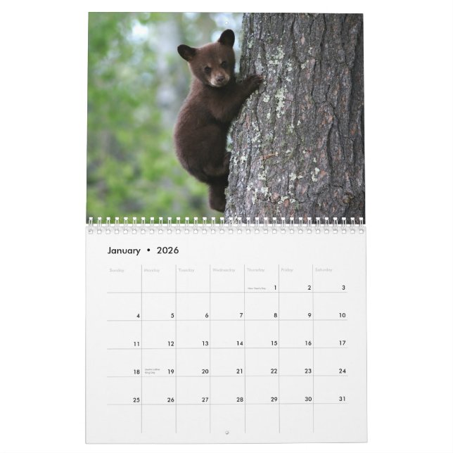 Alaskan Wildlife Calendar (Jan 2026)