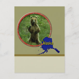 Alaskan Wildlife Postcard