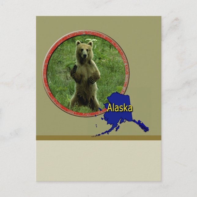 Alaskan Wildlife Postcard (Front)