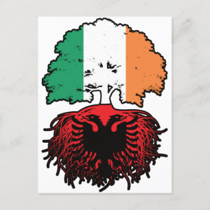 Albania Albanian Irish Ireland Tree Roots Flag Postcard