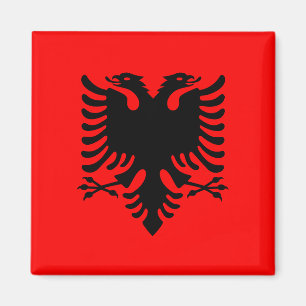Albania Magnet