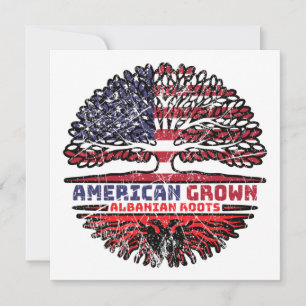 Albanian Albania US American USA United States Card