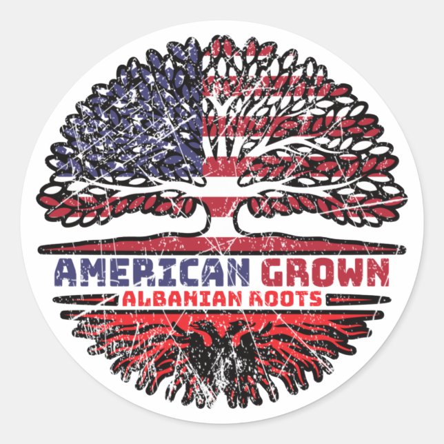 Albanian Albania US American USA United States Classic Round Sticker (Front)