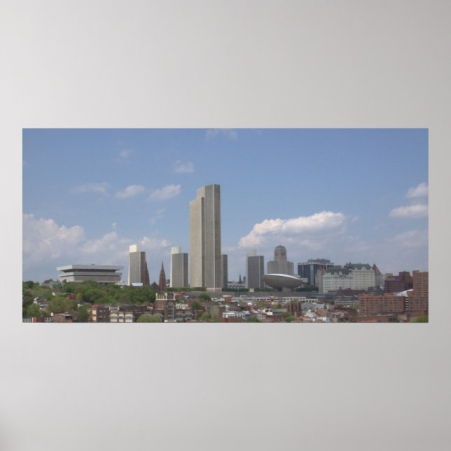 Albany downtown view May 2009 Poster (Front)