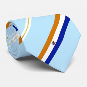 Albany (New York) city flag Neck Tie