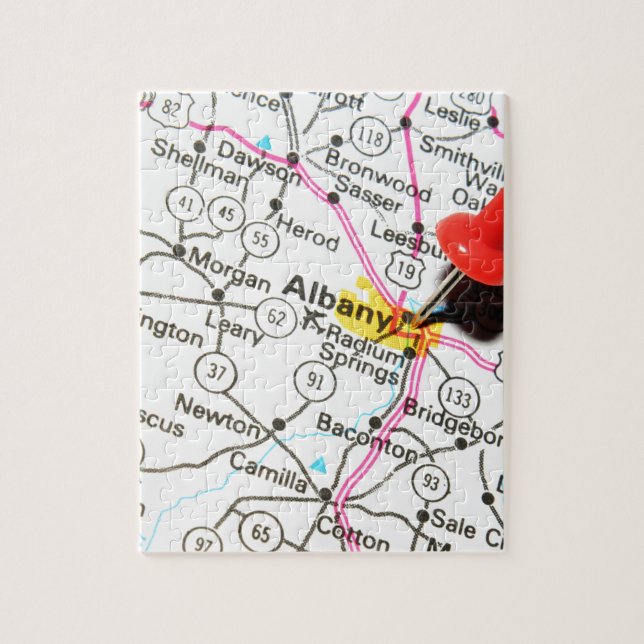Albany, New York Jigsaw Puzzle (Vertical)