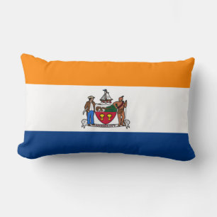 Albany, New York Lumbar Cushion