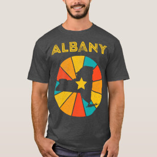Albany New York Vintage Distressed Souvenir 1 T-Shirt