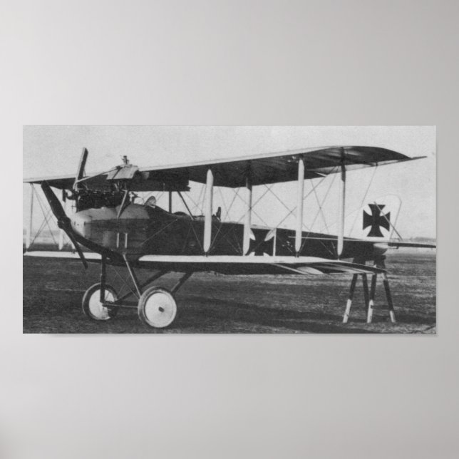 Albatros C.I Poster (Front)