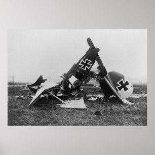 Albatros DIII Poster