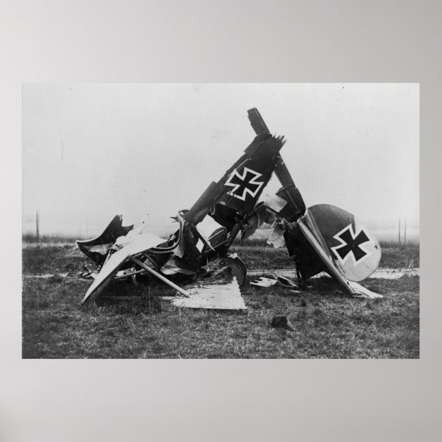 Albatros DIII Poster (Front)