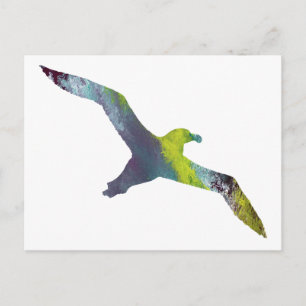 Albatross Animal silhouette Postcard