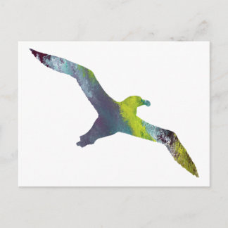 Albatross Animal silhouette Postcard