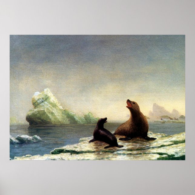 Albert Bierstadt painting, Seals Poster (Front)