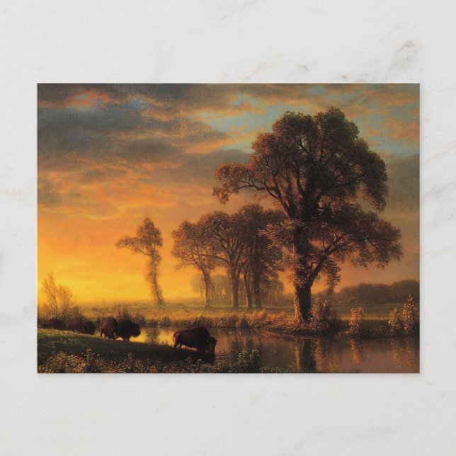 Albert Bierstadt painting, Western Kansas Postcard (Front)