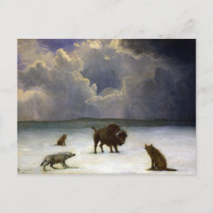 Albert Bierstadt Trapped Postcard
