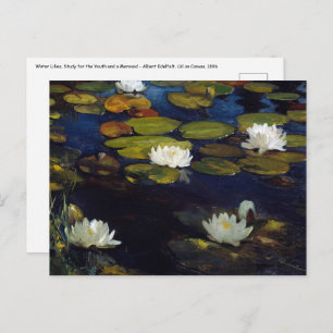 Albert Edelfelt - Water Lilies, Study Postcard