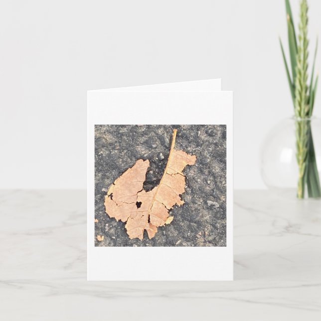Albert The Leaf Squirrel 🐿️  Card (Front)