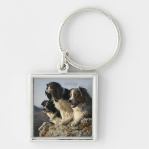 Alberta, Canada 2 Key Ring