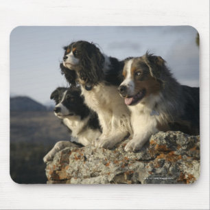 Alberta, Canada 2 Mouse Pad