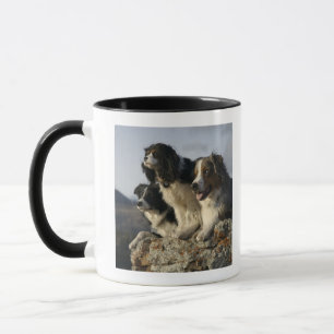 Alberta, Canada 2 Mug