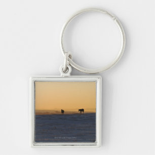 Alberta, Canada 3 Key Ring