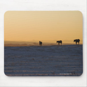 Alberta, Canada 3 Mouse Pad