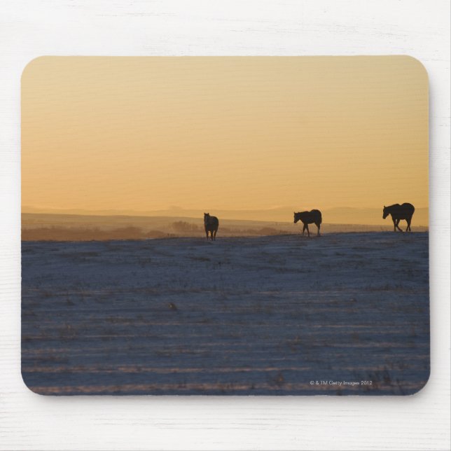 Alberta, Canada 3 Mouse Pad (Front)