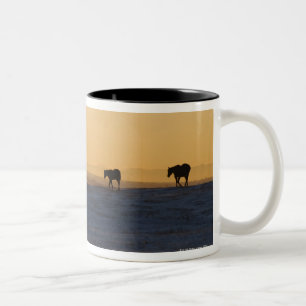 Alberta, Canada 3 Two-Tone Coffee Mug