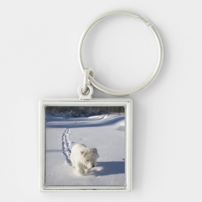 Alberta, Canada Key Ring (Front)