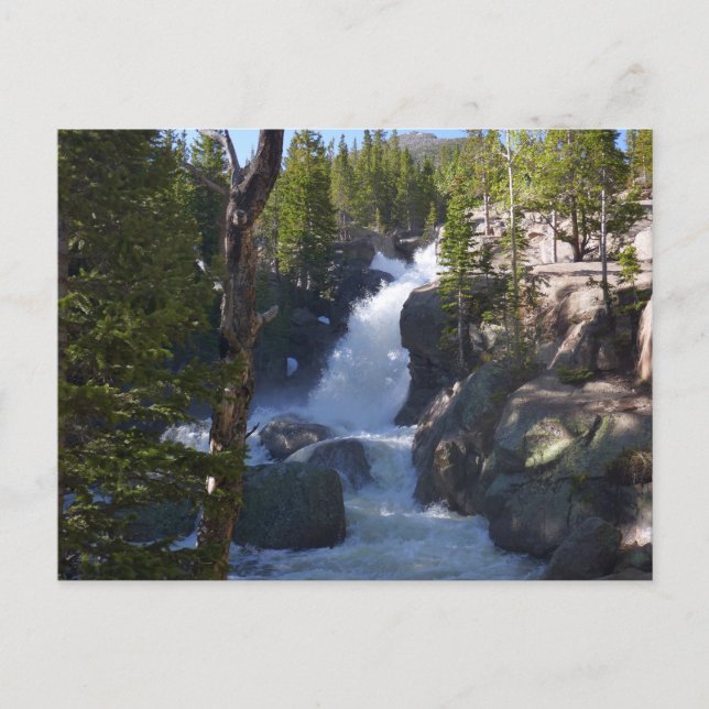 Alberta Falls I Postcard (Front)
