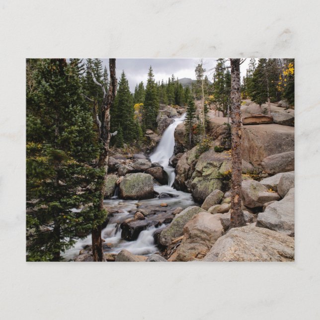 Alberta Falls In Rocky Mountain National Park Postcard (Front)