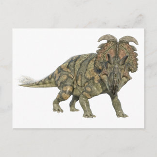 Albertaceratops Dinosaur Looking to the Front Postcard