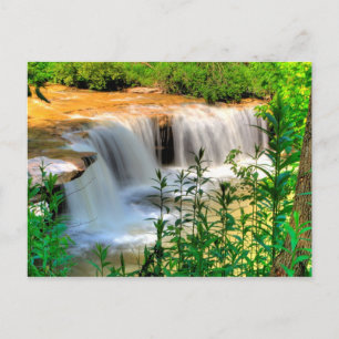 Alberts Falls, Thomas, West Virginia Postcard