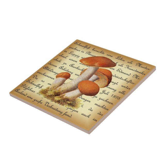 Albin Schmalfuß~Espenrotkappe1~ Mushrooms ~ Ceramic Tile (Side)