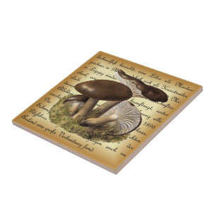 Albin Schmalfuß ~ Märzschneckling-1 ~ Mushrooms ~ Ceramic Tile