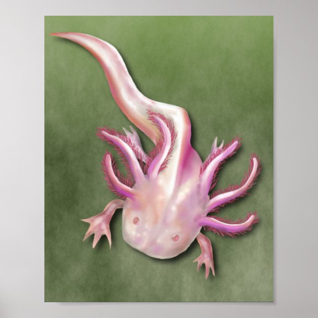 Albino Axolotl "Walking Fish" Art Poster (Front)