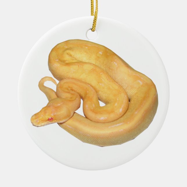 Albino Champagne Ceramic Ornament (Front)