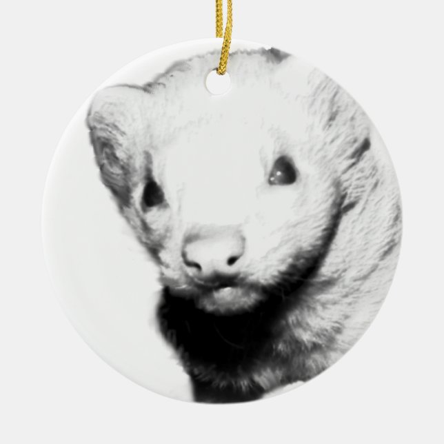 Albino Ferret Picture Ceramic Tree Decoration (Front)