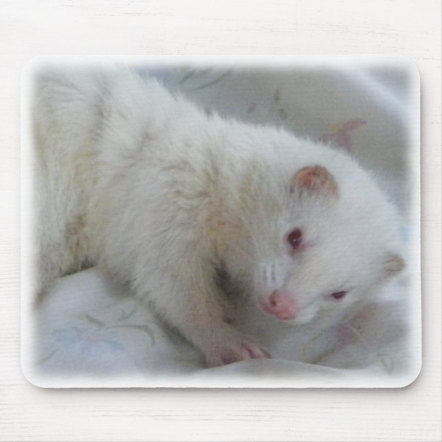 Albino Ferret Picture Mouse Pad (Front)