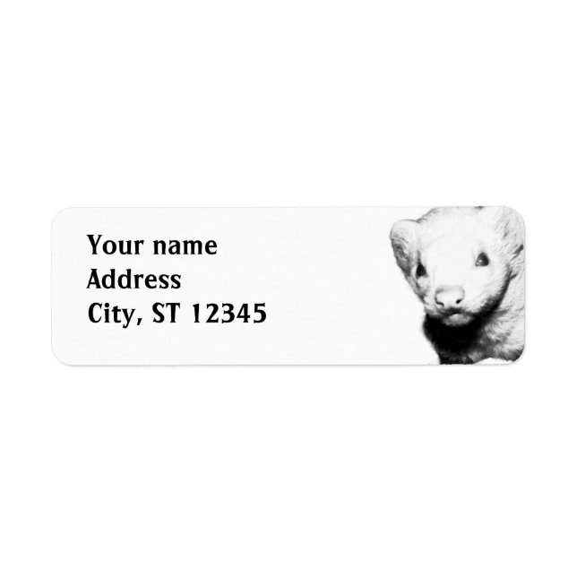 Albino Ferret Picture Return Address Label (Front)