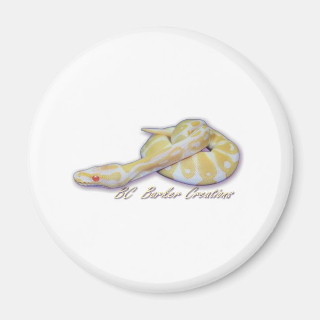 Albino Hatchling Ball Python Magnet (Front)