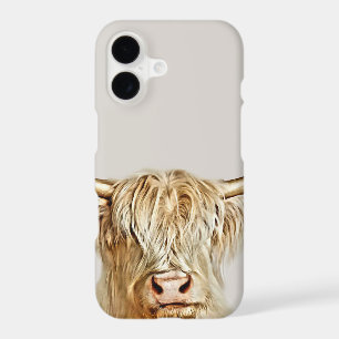 Albino Highland Cow