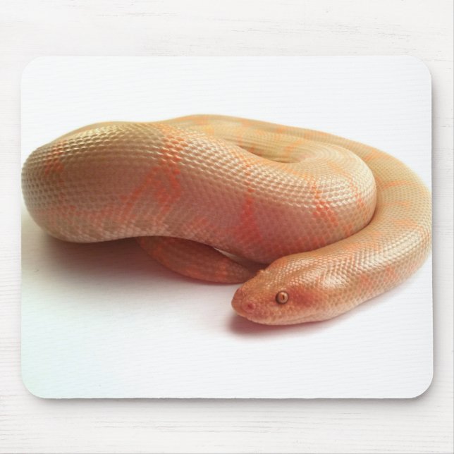 Albino kenyan sand boa mousepad (Front)
