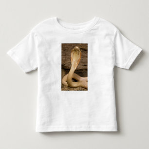 Albino Monacled Cobra, Naja kaouthia, coiled Toddler T-Shirt