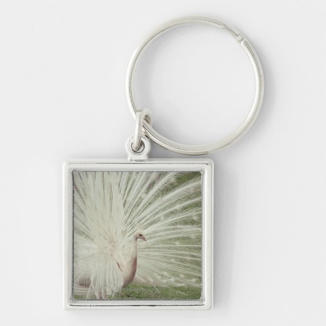 Albino peacock key ring (Front)