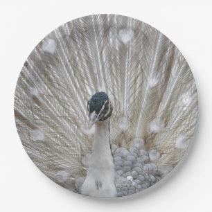 Albino Peacock Paper Plate